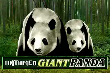 Untamed - Giant Panda